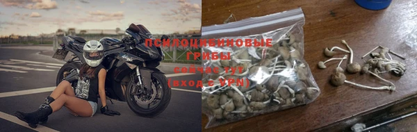 гашик Алексеевка