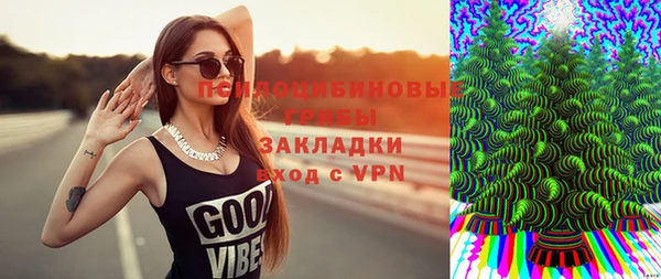 кокс Алексин