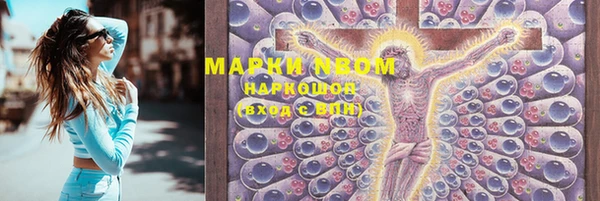 гашик Алексеевка