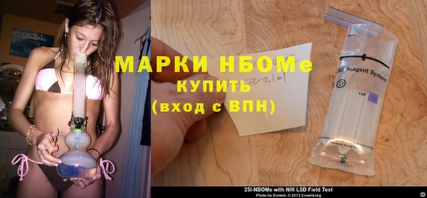гашик Алексеевка