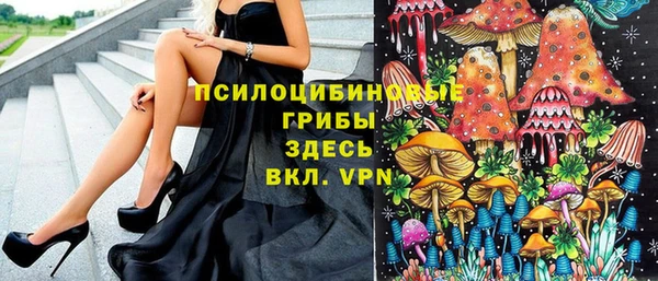 кокс Алексин